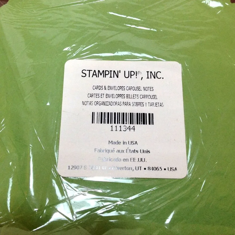 Stampin Up Carousel Note Cards & Envelopes, Details Eyelet Quotes & Silk Leaves